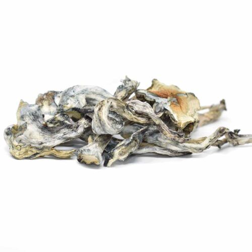 Magic Mushrooms – Blue Meanies