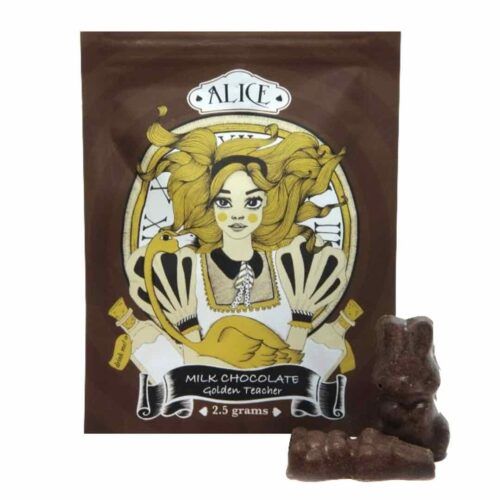Alice Mushroom Chocolate – 2.5 gr