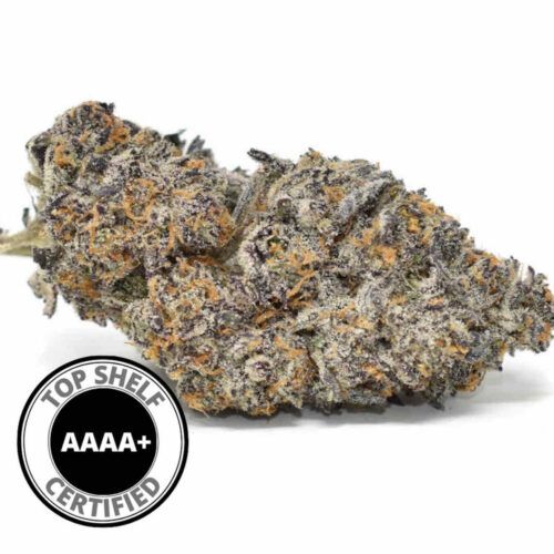 frosted gelato hybrid