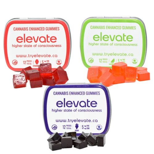 Elevate - Gummies 1:1 CBD/THC