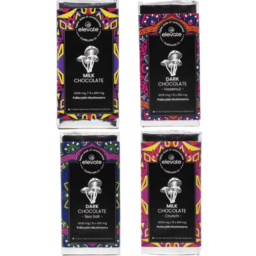 Elevate - Mushroom Chocolate Bars 6000mg