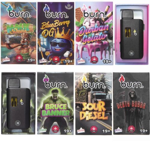 Burn 3 Gram Disposable Vapes