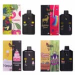 Burn Dual Chamber 4 Gr Disposable Vape