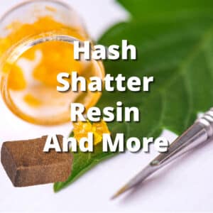 hash shatter resin marijuana cannabis shatter topshelf topshelfexpress top shelf express
