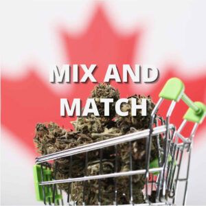 cbd marijuana cannabis weed topshelf topshelfexpress top shelf express canada canadian