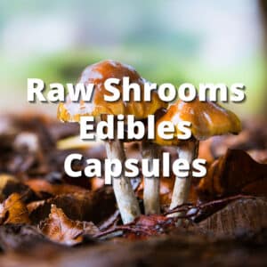 gummies chocolate capsules edibles topshelf topshelfexpress top shelf express