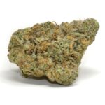 Gelato