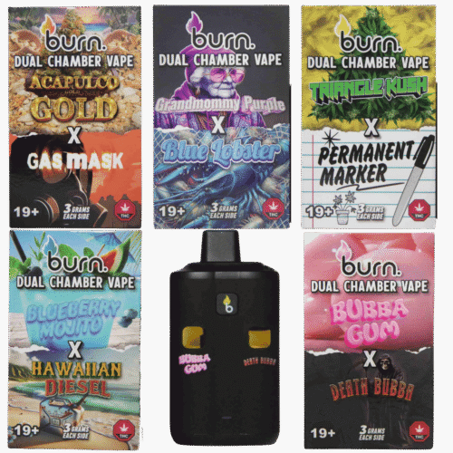 Burn Dual Chamber Vape – 2 Strains – 6g Total