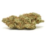 Mimosa